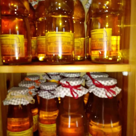 Napsugar Vendeghaz Guest house 3*