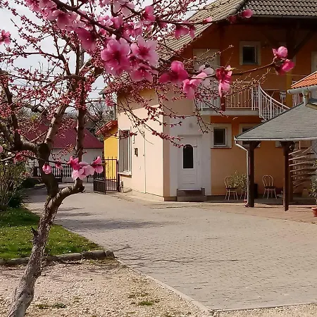 Napsugar Vendeghaz בית הארחה