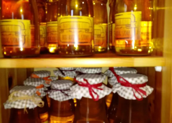 Napsugar Vendeghaz בית הארחה 3*