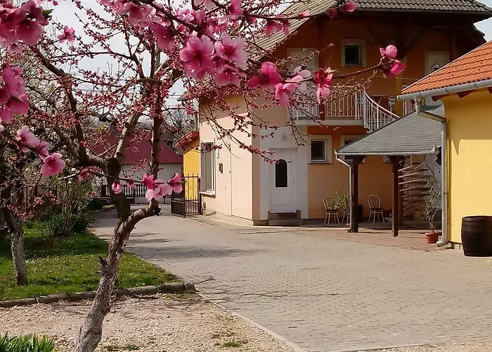 Napsugar Vendeghaz בית הארחה