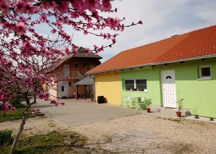 Napsugar Vendeghaz בית הארחה Újudvar