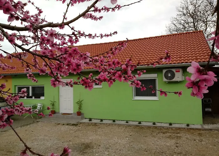 Napsugar Vendeghaz בית הארחה Újudvar